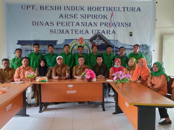 PKL UPT BENIH INDUK HORTILKULTURA ARSE TAPSEL 03 AGUSTUS 2020